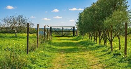 Camper among the Olive Trees, Relaxation and Barbecue, 15 minutes from Cagliari and Poetto Beach