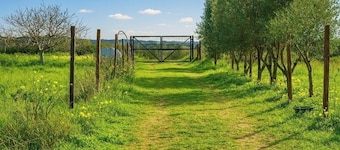 Camper among the Olive Trees, Relaxation and Barbecue, 15 minutes from Cagliari and Poetto Beach