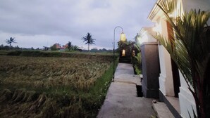 Ein Weg, der zu einem Gebäude mit einer Lampe und Palmen führt.
