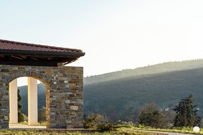 Botón de imagen sin clasificar, 5 de 12