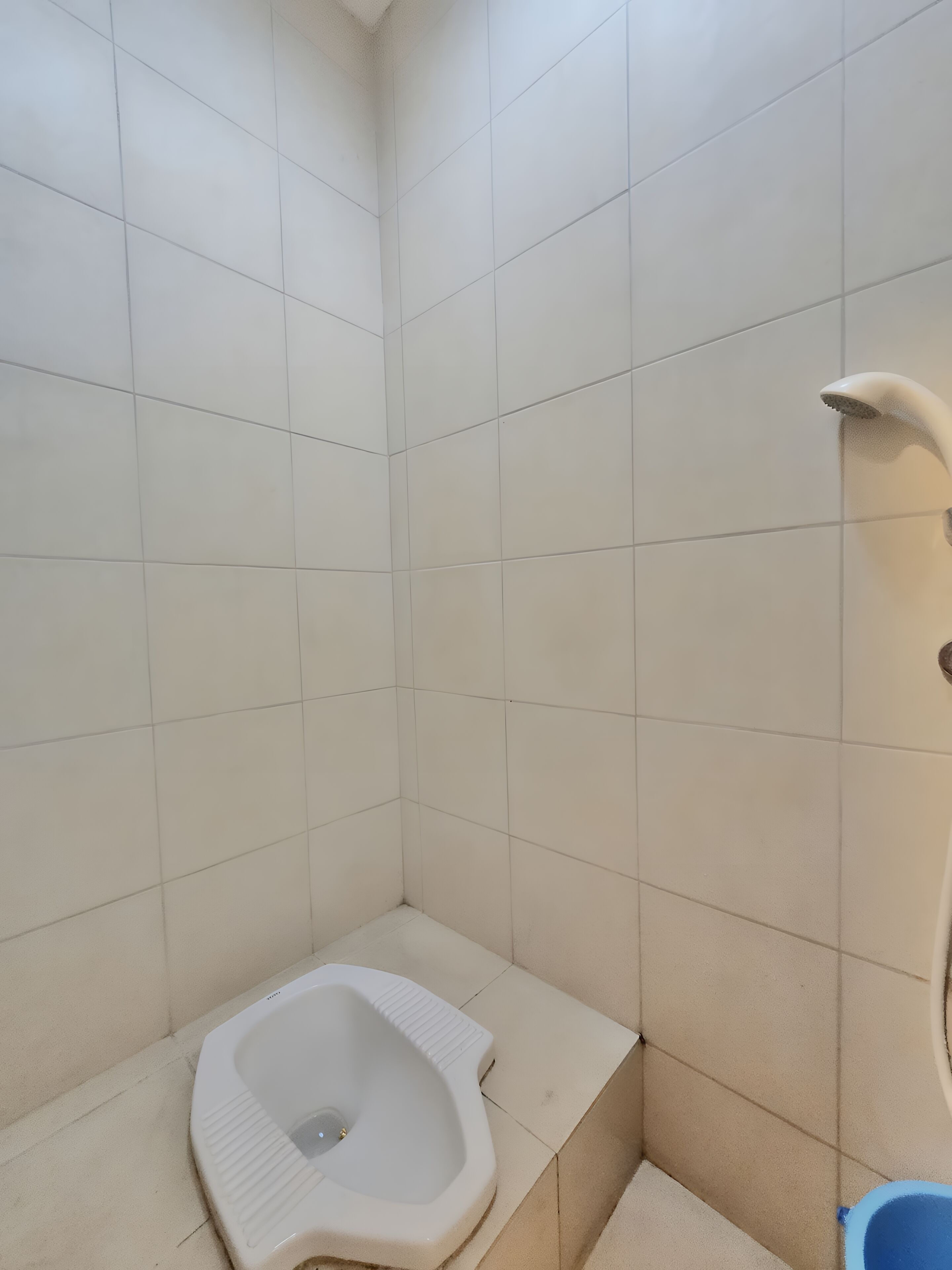A small, tiled bathroom with a squat toilet and a shower.