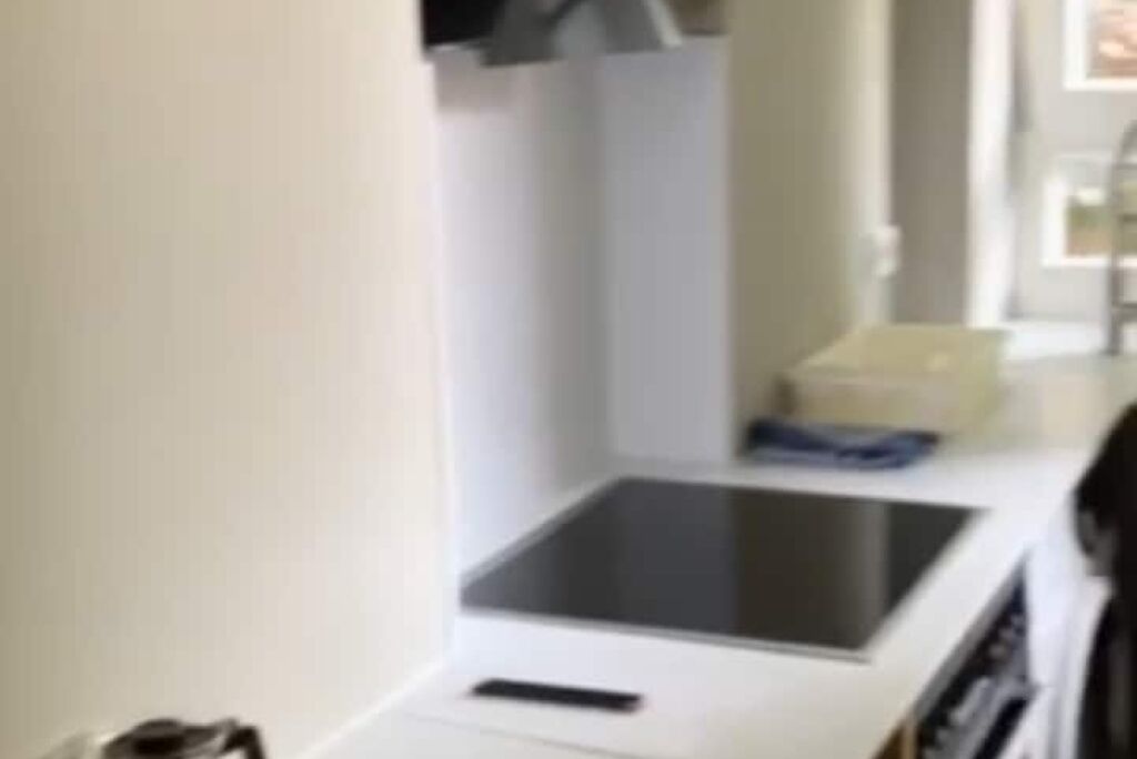 Fridge, stovetop, dishwasher, coffee/tea maker