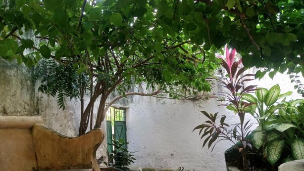 Um pátio com um banco de concreto, plantas em vasos e uma parede.