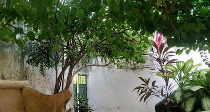 Tabassam Guest House Lamu