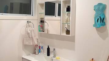 Eco-friendly toiletries, hair dryer, towels, soap