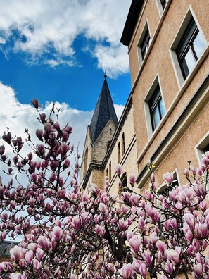 Miscellaneous - Apartment garden view in the garden house # 2 rooms # fewohalle # (Halle (Saale))