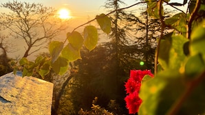 Vista al atardecer con un banco de piedra y una flor roja en primer plano.