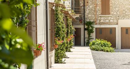 Palazzo Trevignane - La Saletta Verde