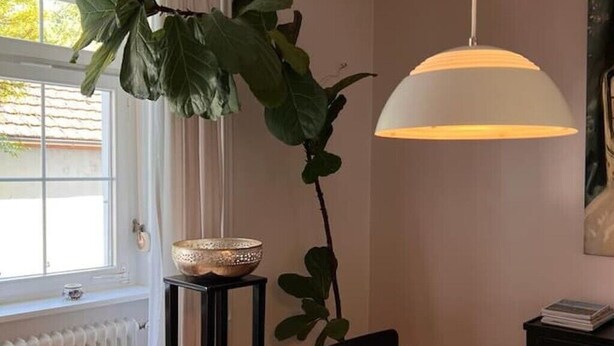 A room with a large plant, a white pendant lamp, a radiator, and a window with blinds. - Seeliebe | city location | seeglueck (Konstanz)