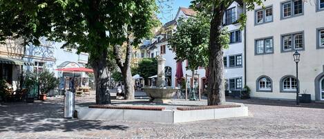 A cobblestone square with a central fountain, surrounded by trees and buildings with traditional architecture.