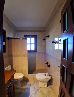 Shower, hair dryer, bidet, towels