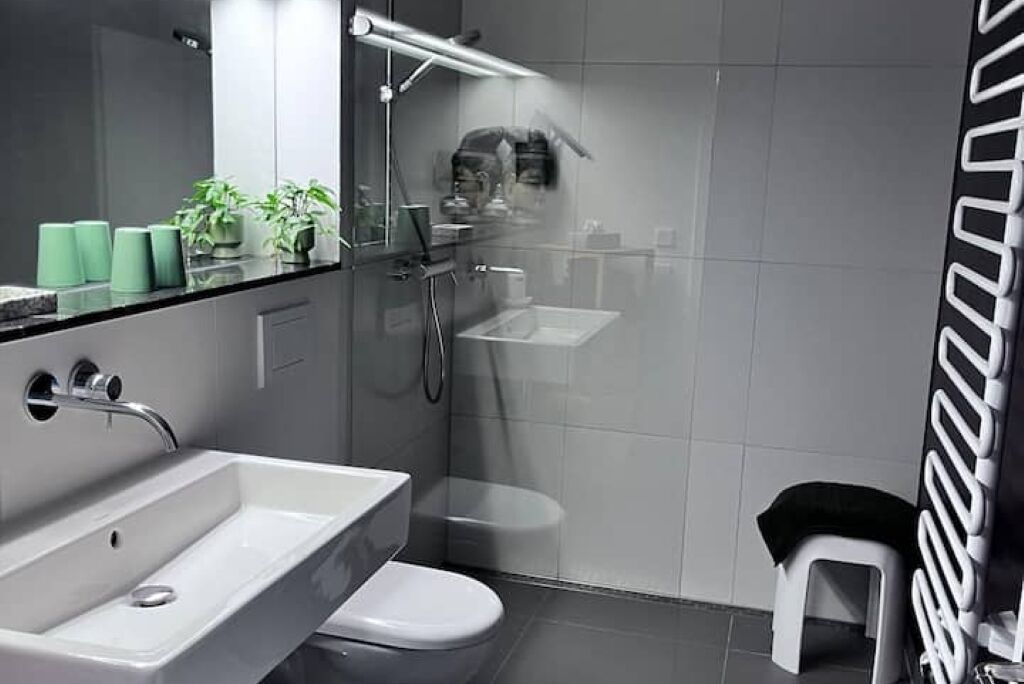 Shower, hair dryer, towels, toilet paper