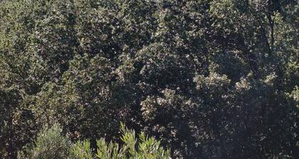 Vacation home in Cap Corse, 5 minutes from the beach