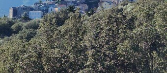 Vacation home in Cap Corse, 5 minutes from the beach