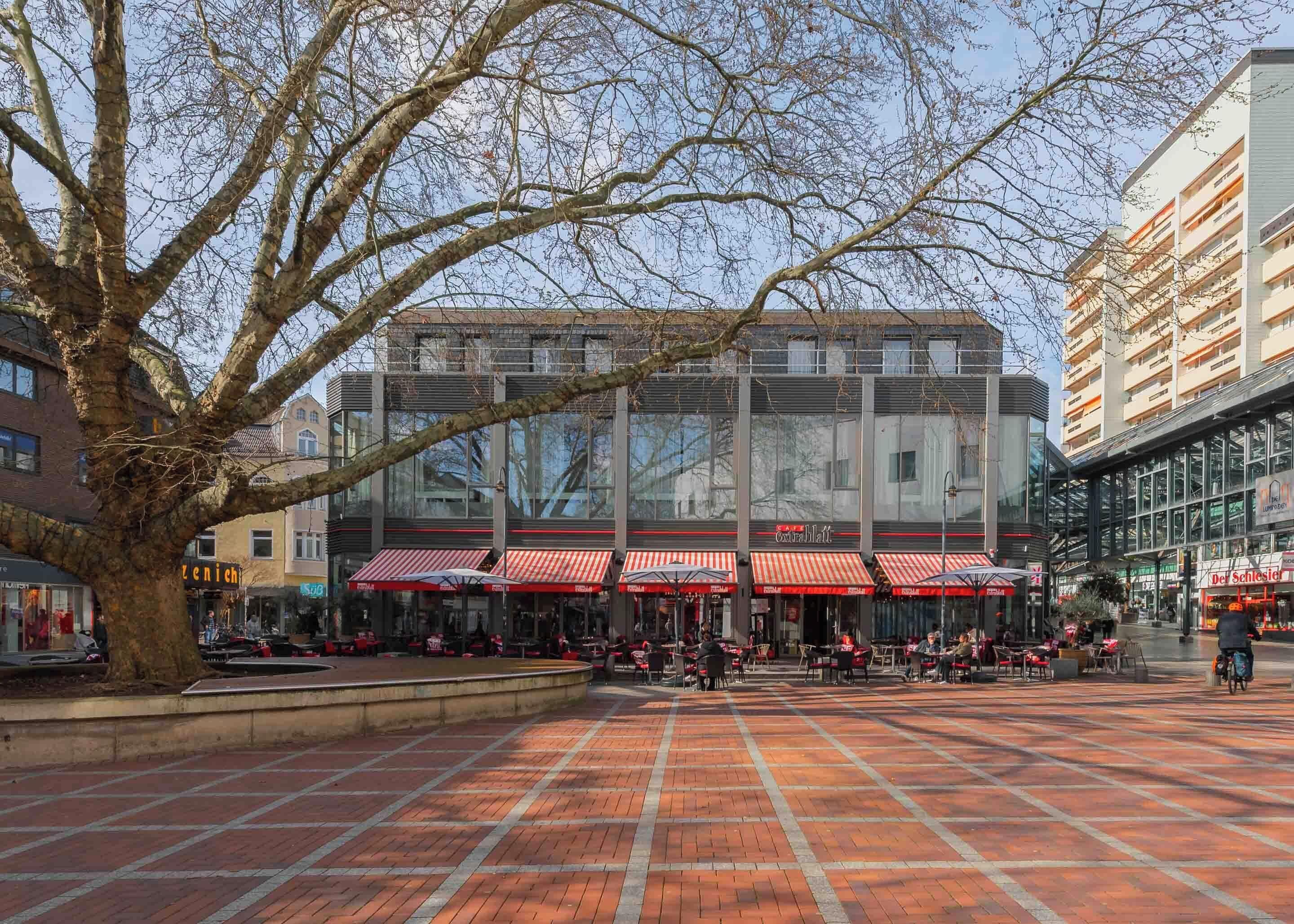 A plaza with a large tree, outdoor seating, and a building with a glass facade.