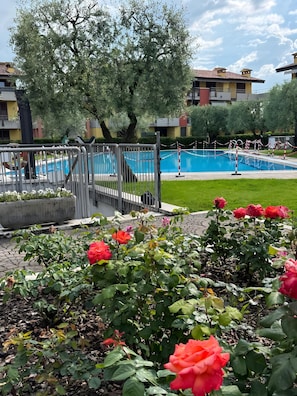 Immagine non classificata, 4 di 5, pulsante