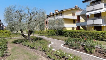 Esterni