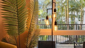 Une pièce dotée d’une grande fenêtre, d’un luminaire en métal noir et d’une plante en pot.