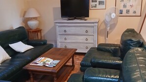 Una sala de estar con un sofá verde, una mesa de centro de madera, un televisor sobre un aparador blanco y un ventilador.