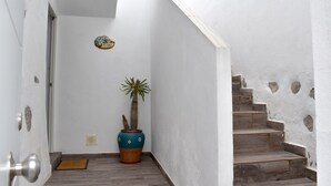 Un pasillo estrecho con una planta en maceta, una puerta y una escalera.