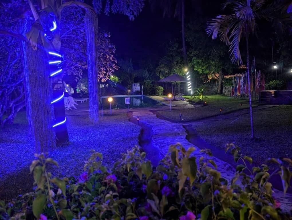 A nighttime garden with illuminated trees and a pathway.