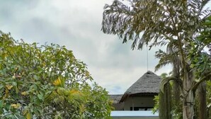Uma trilha de pedra leva a uma casa com telhado de colmo, rodeada por vegetação exuberante e um gramado bem cuidado.