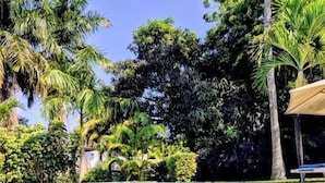 Piscina translúcida com borda estampada, rodeada por vegetação exuberante e palmeiras.