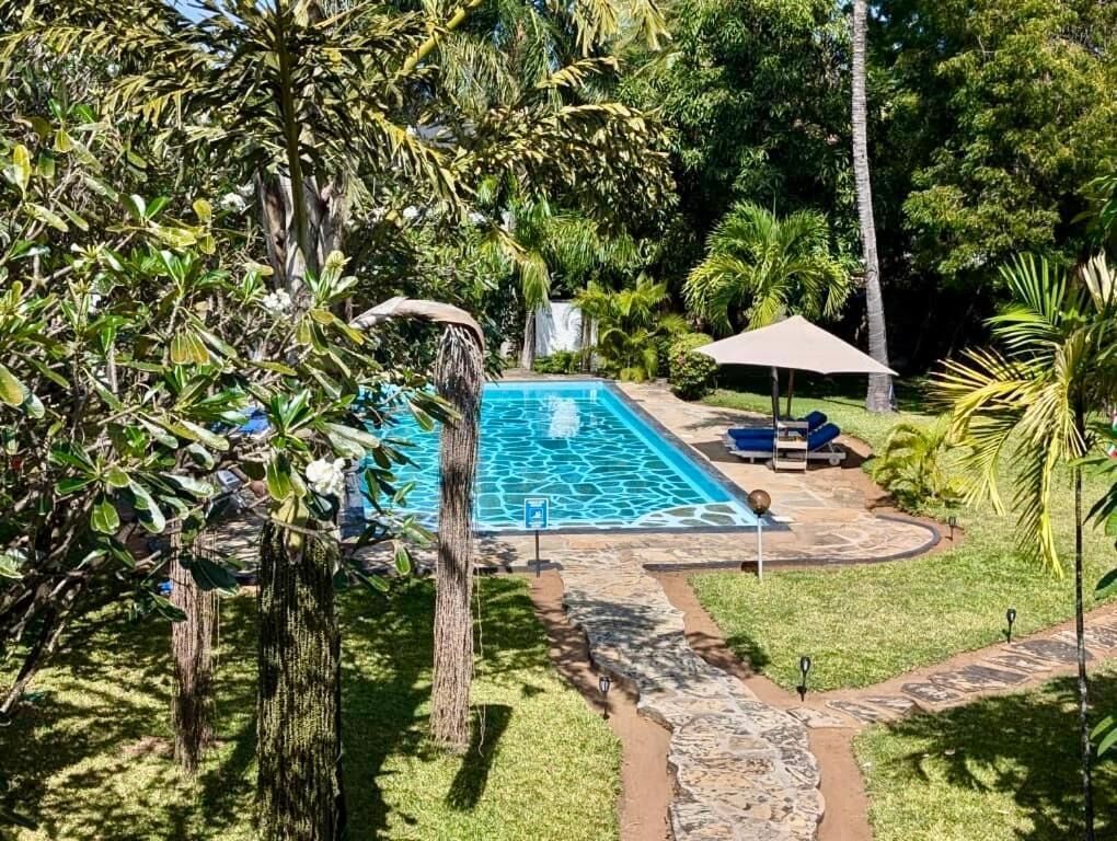 A swimming pool surrounded by lush greenery, with a stone pathway leading to a lounge area.