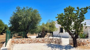 A stone wall, a tree, and a building with a clear blue sky. - Recently renovated Lamia, surrounded by olive trees and Mediterranean vegetation (Ostuni)