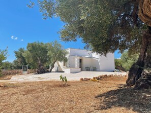 A white building with a stone wall entrance, a covered outdoor seating area, and a tree in the foreground. - Recently renovated Lamia, surrounded by olive trees and Mediterranean vegetation (Ostuni)