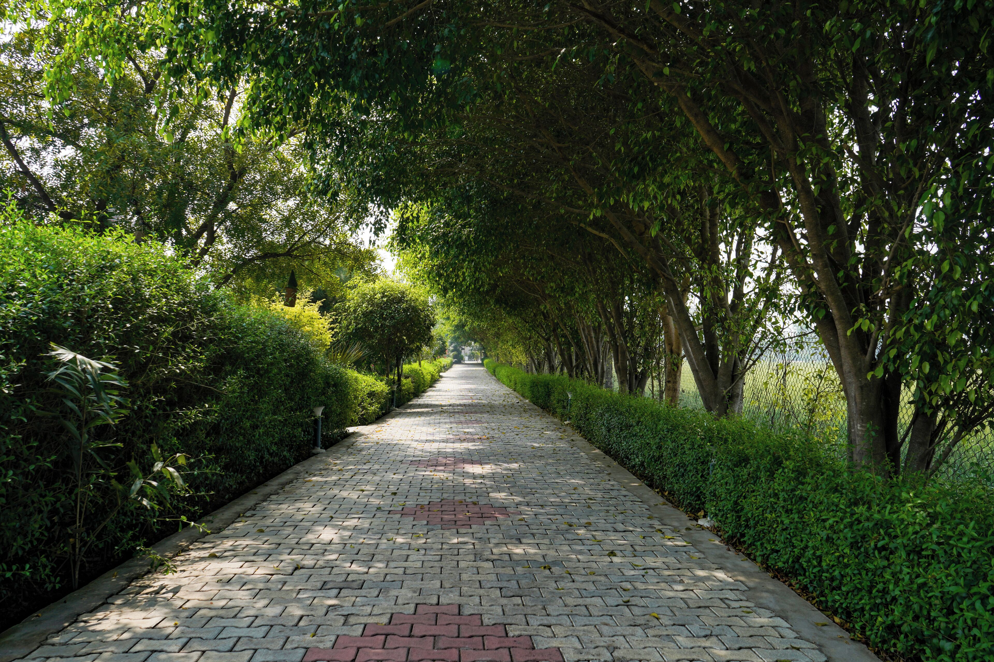 Children’s activities