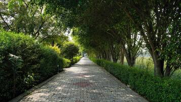 Children’s activities