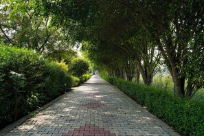 Children’s activities