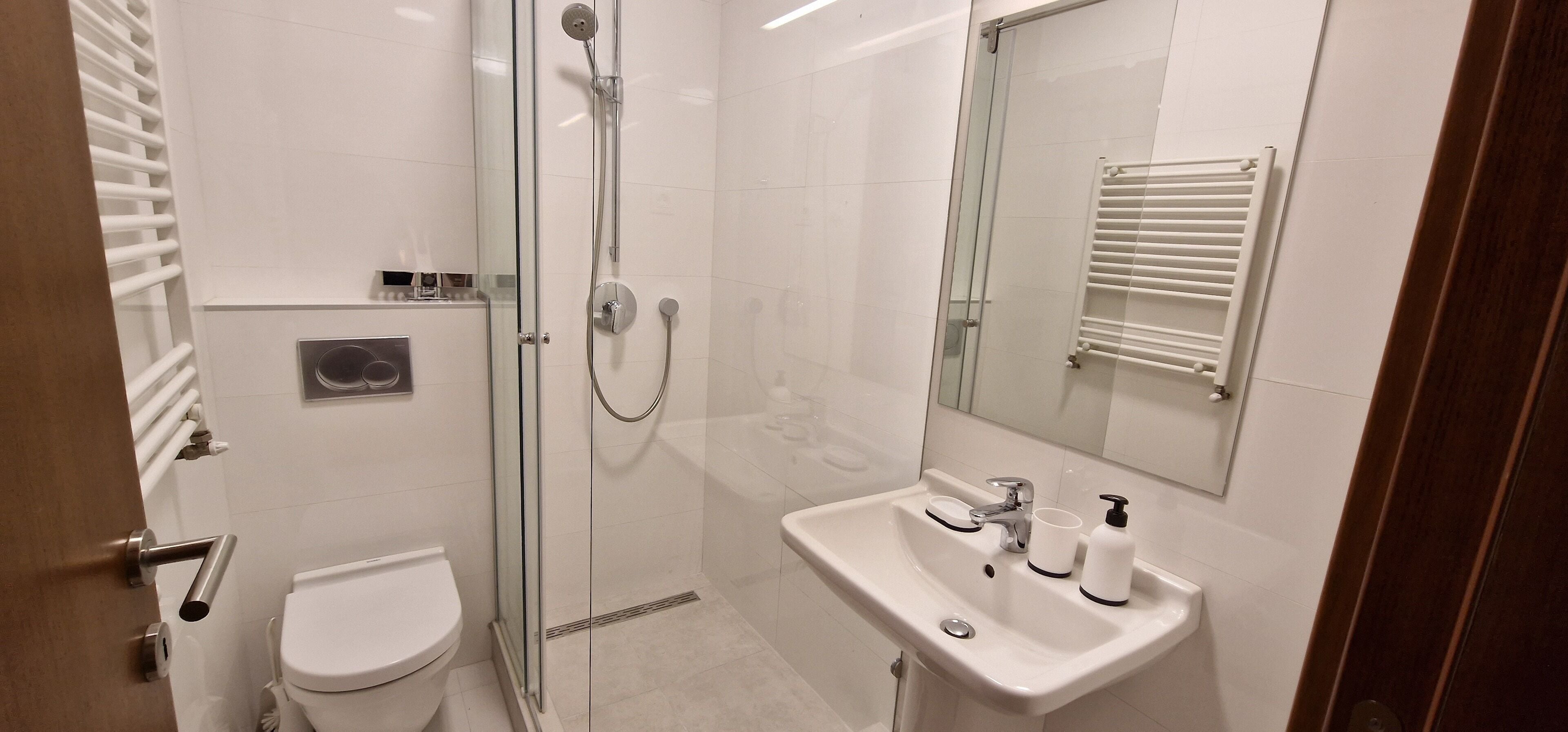 Appartement, terras, uitzicht op de binnenplaats | Badkamer | Een haardroger, pantoffels, handdoeken, zeep