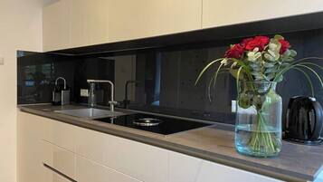 Kühlschrank, Herdplatte, Geschirrspüler