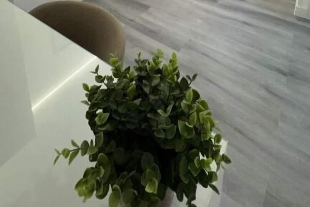 Double Room (Con Baño Privado)