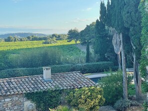 Unclassified image, 3 of 26, button