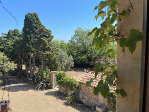 Unclassified image, 2 of 26, button