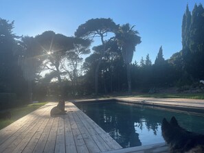 Nicht klassifiziertes Bild, 5 von 26, Schaltfläche