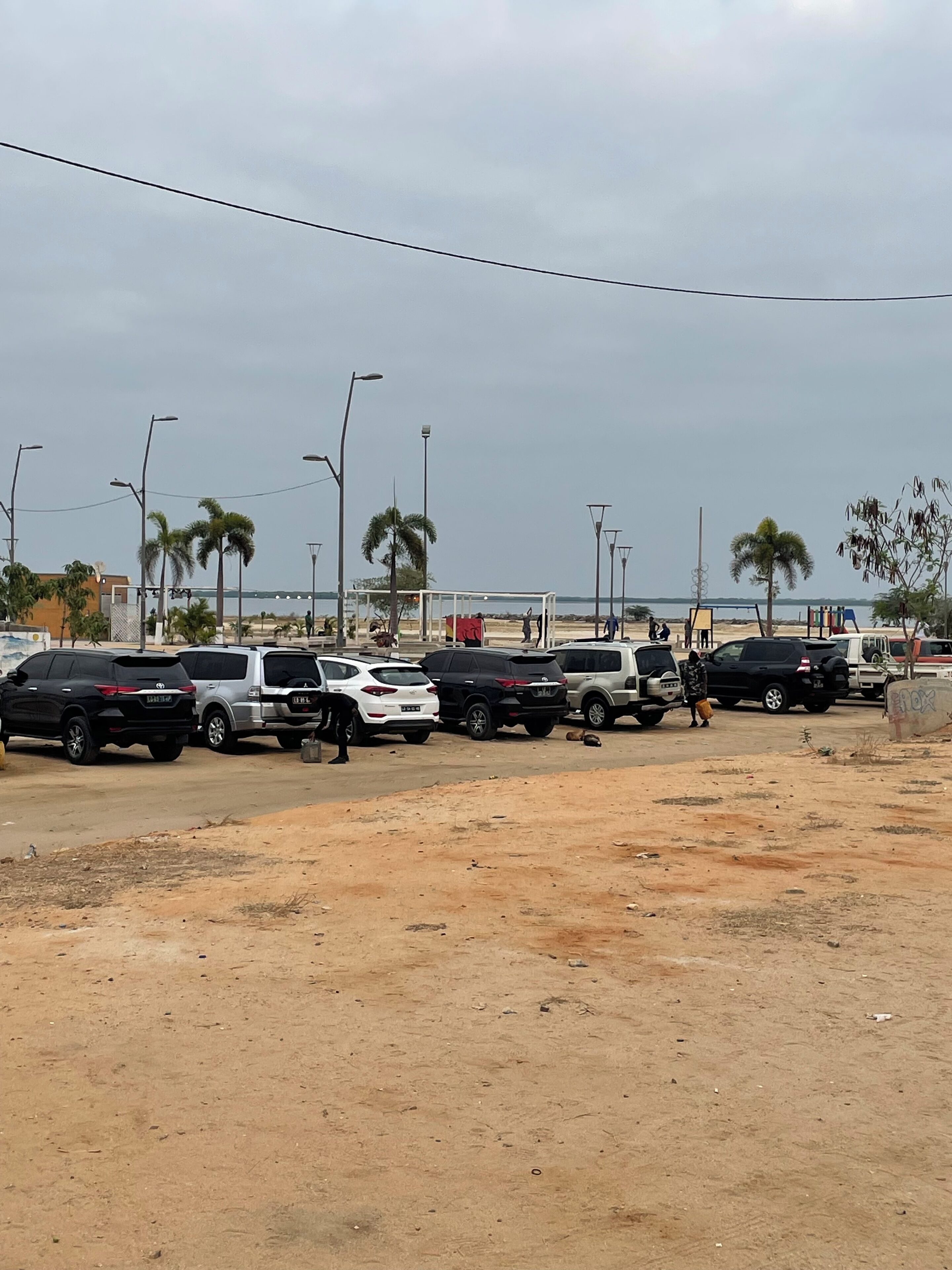 A parking lot with several cars, palm trees, and a beach in the background.