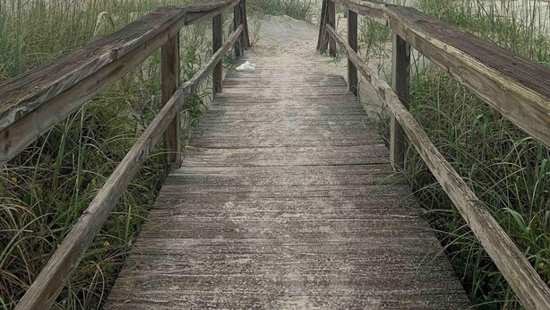 Une promenade en bois mène à une plage bordée de hautes herbes de chaque côté.