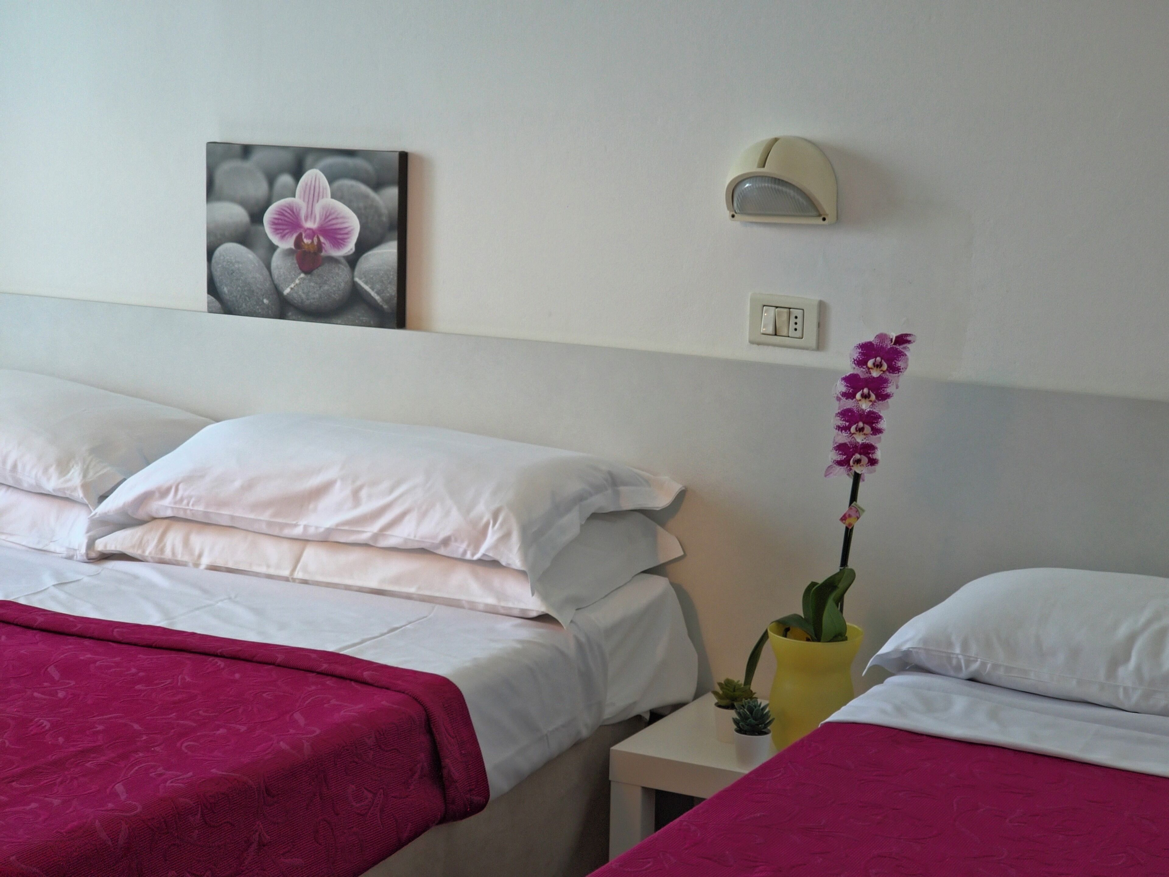 Economy Triple Room | Desk, free WiFi
