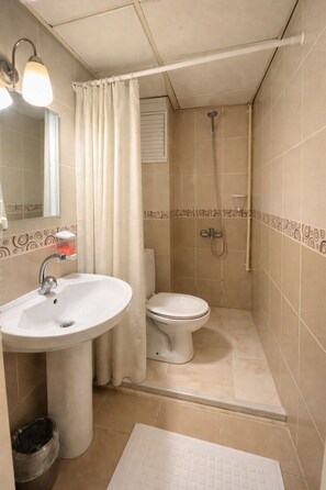 A bathroom with a sink, toilet, shower, and a mirror.