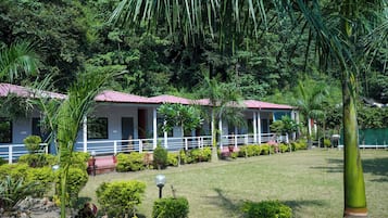 Habitació Premier | Mobiliari individual i wifi gratuïta