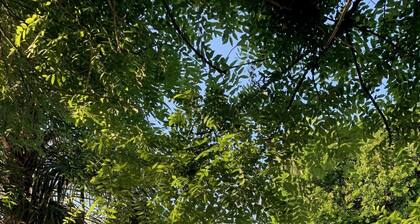 Gite bleu l'Iris 5 personnes, piscine chauffée partagée à 5 mn de la Loire