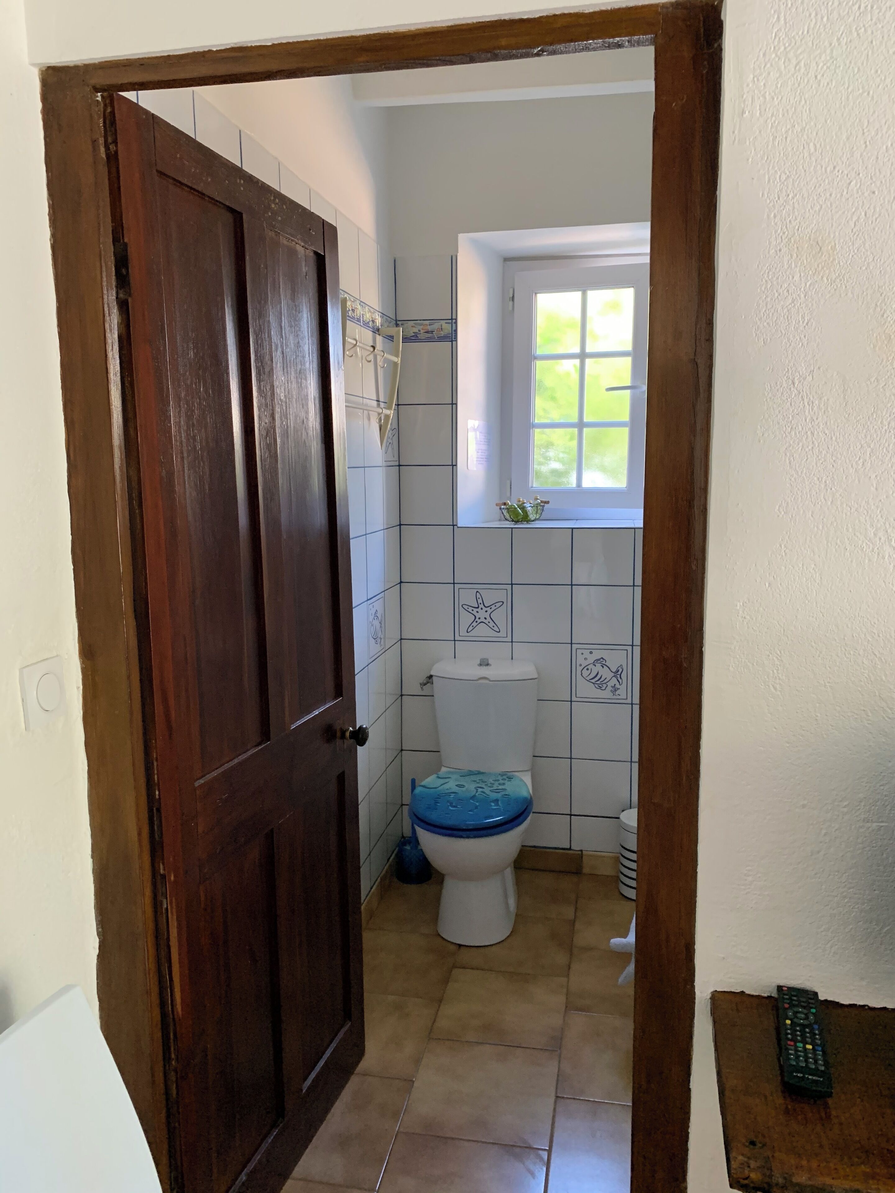 A bathroom with a toilet, a window, and a wooden door.