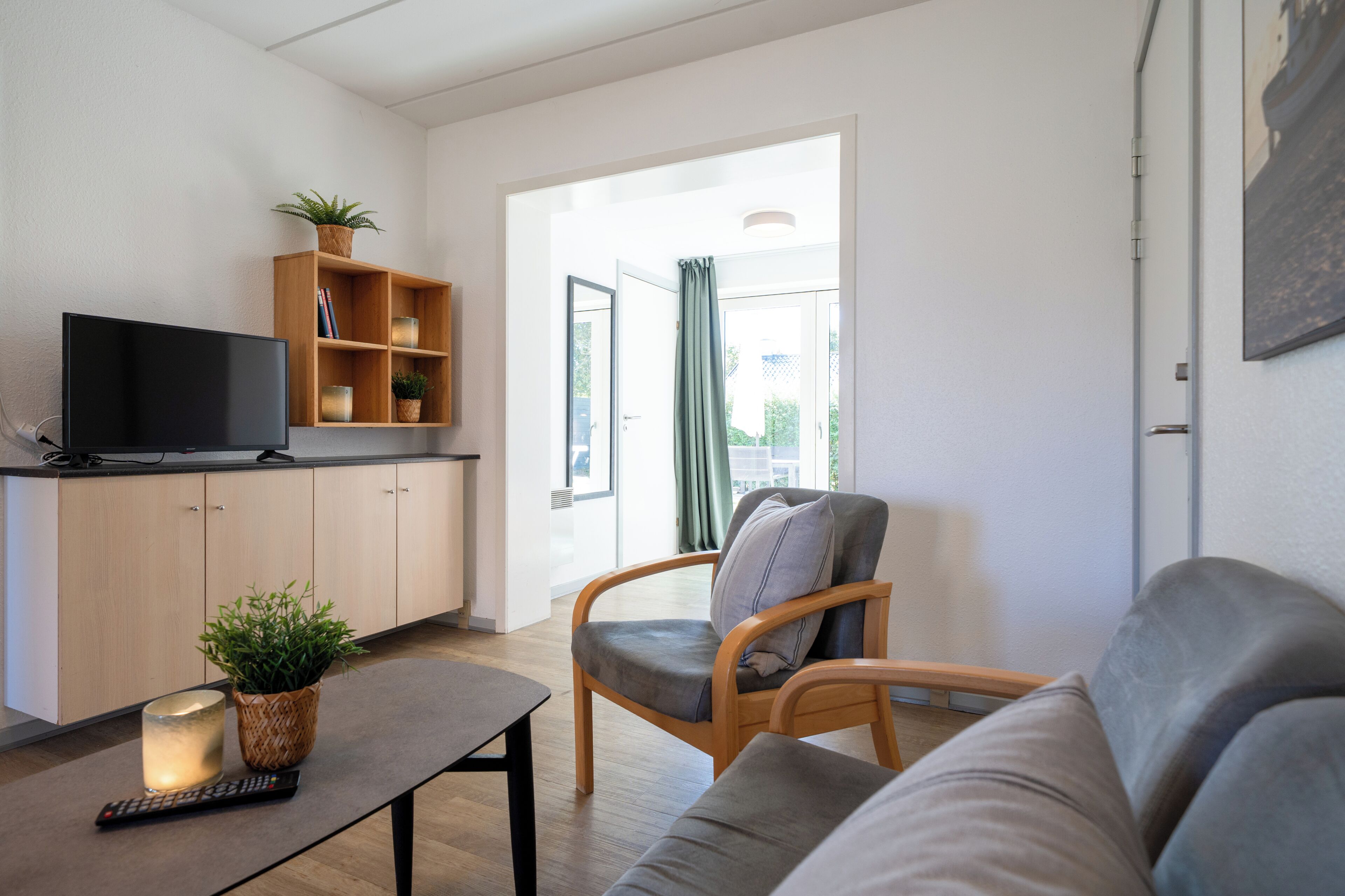 Un salon moderne avec un téléviseur, un canapé, un fauteuil et une plante posée sur une table.