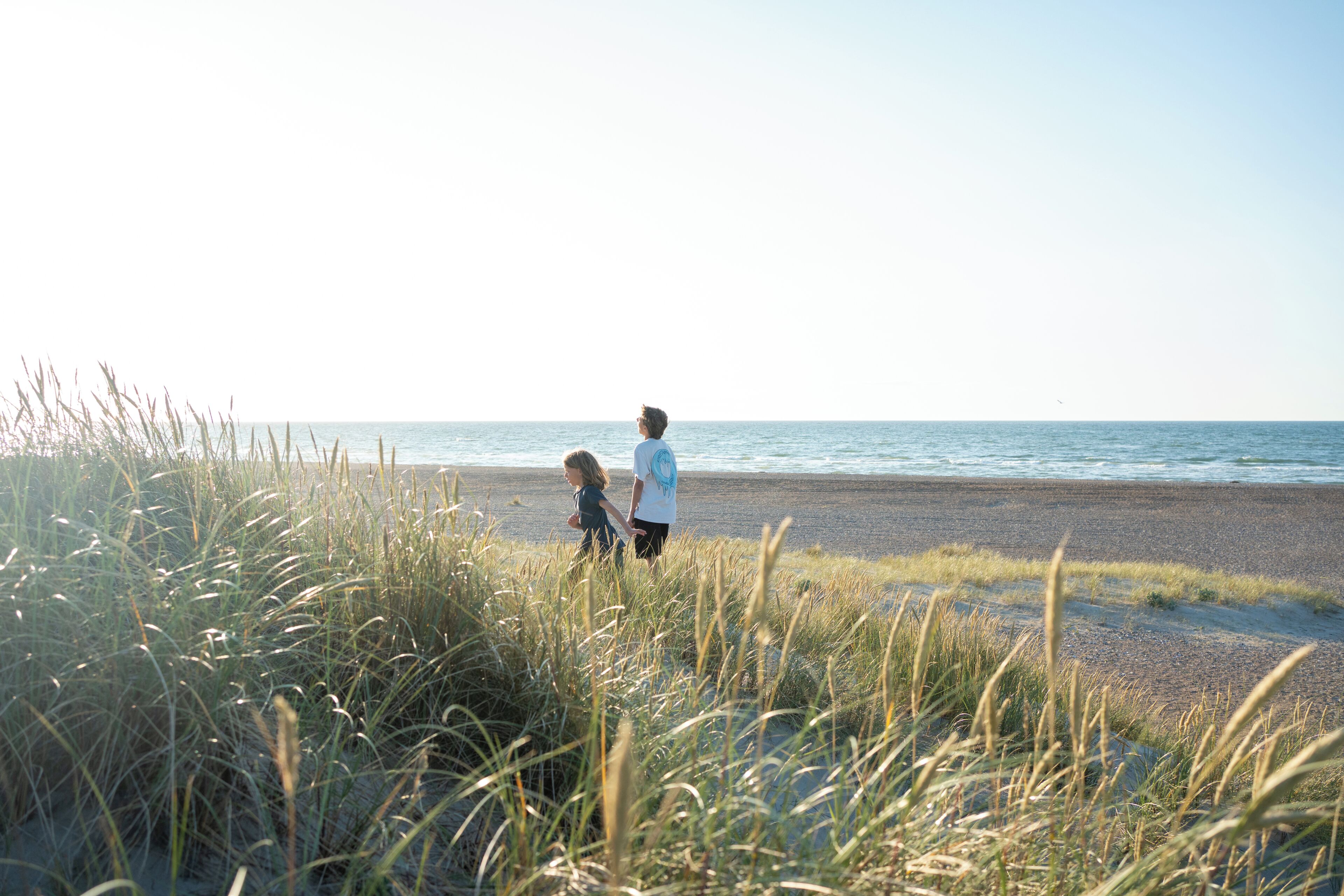 A beach with tall grass in the foreground and a person walking towards the water.