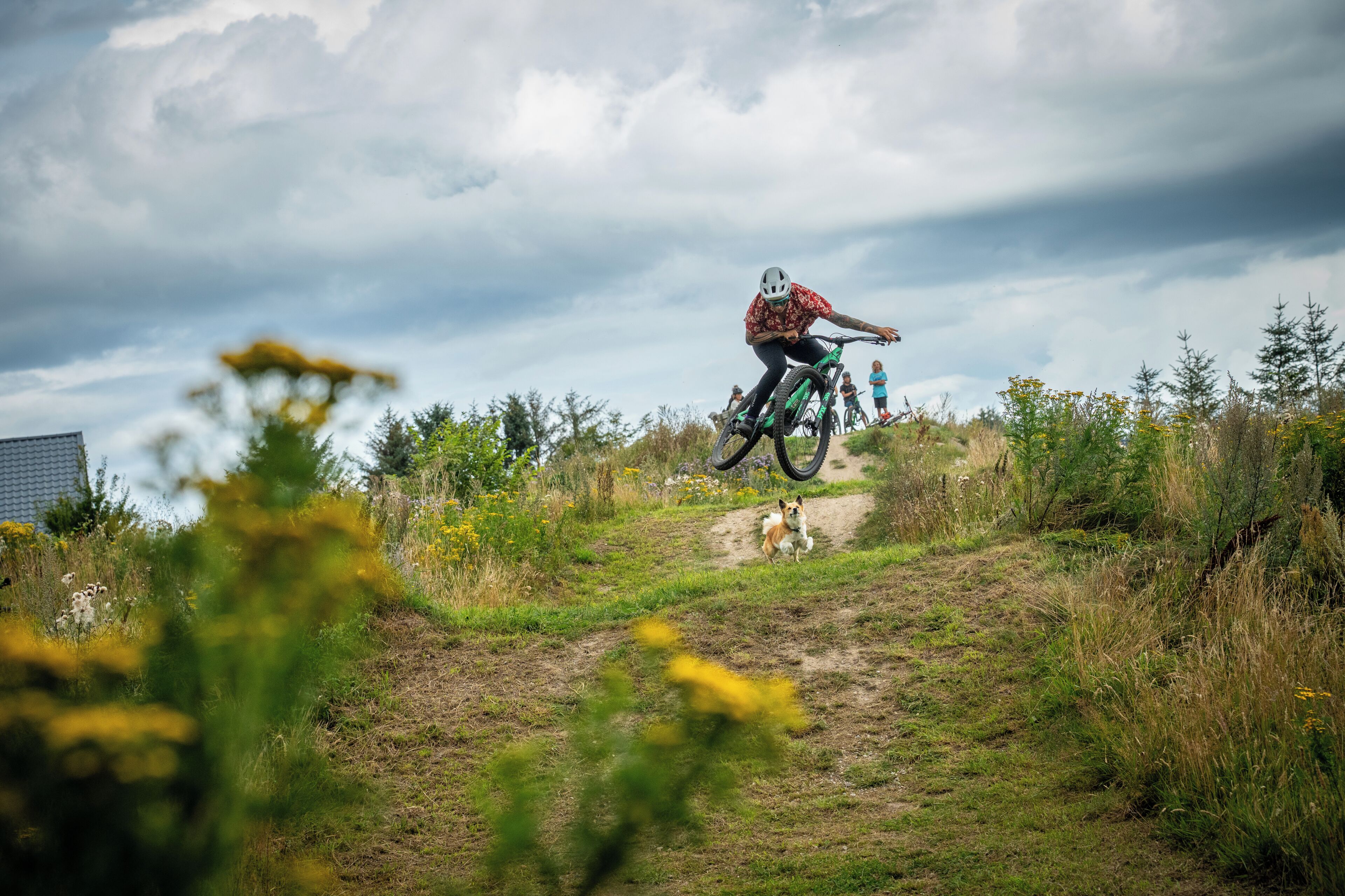 A person on a mountain bike on a dirt trail with greenery and a cloudy sky.