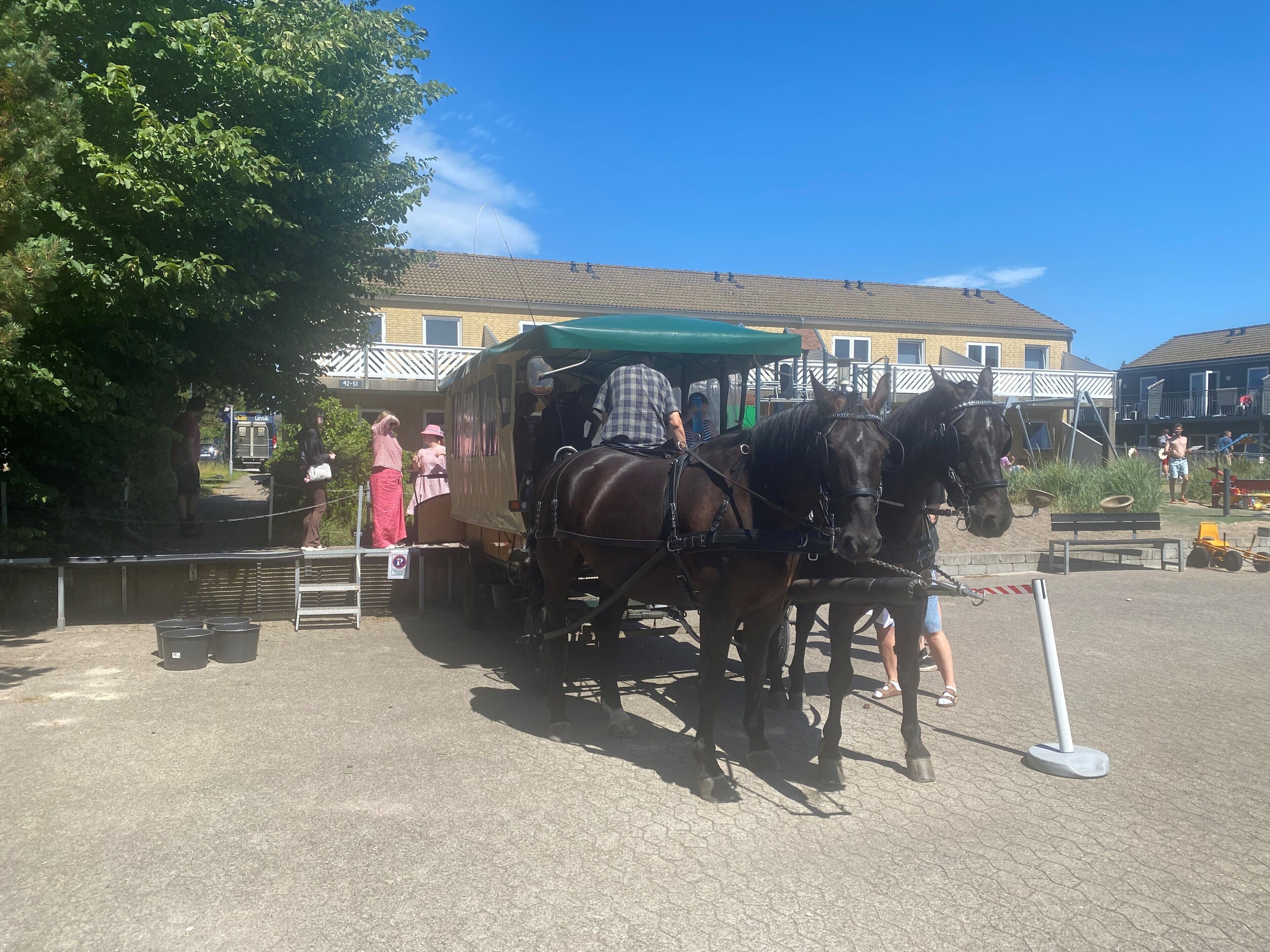 A horse-drawn carriage parked in a sunny outdoor area with buildings in the background.